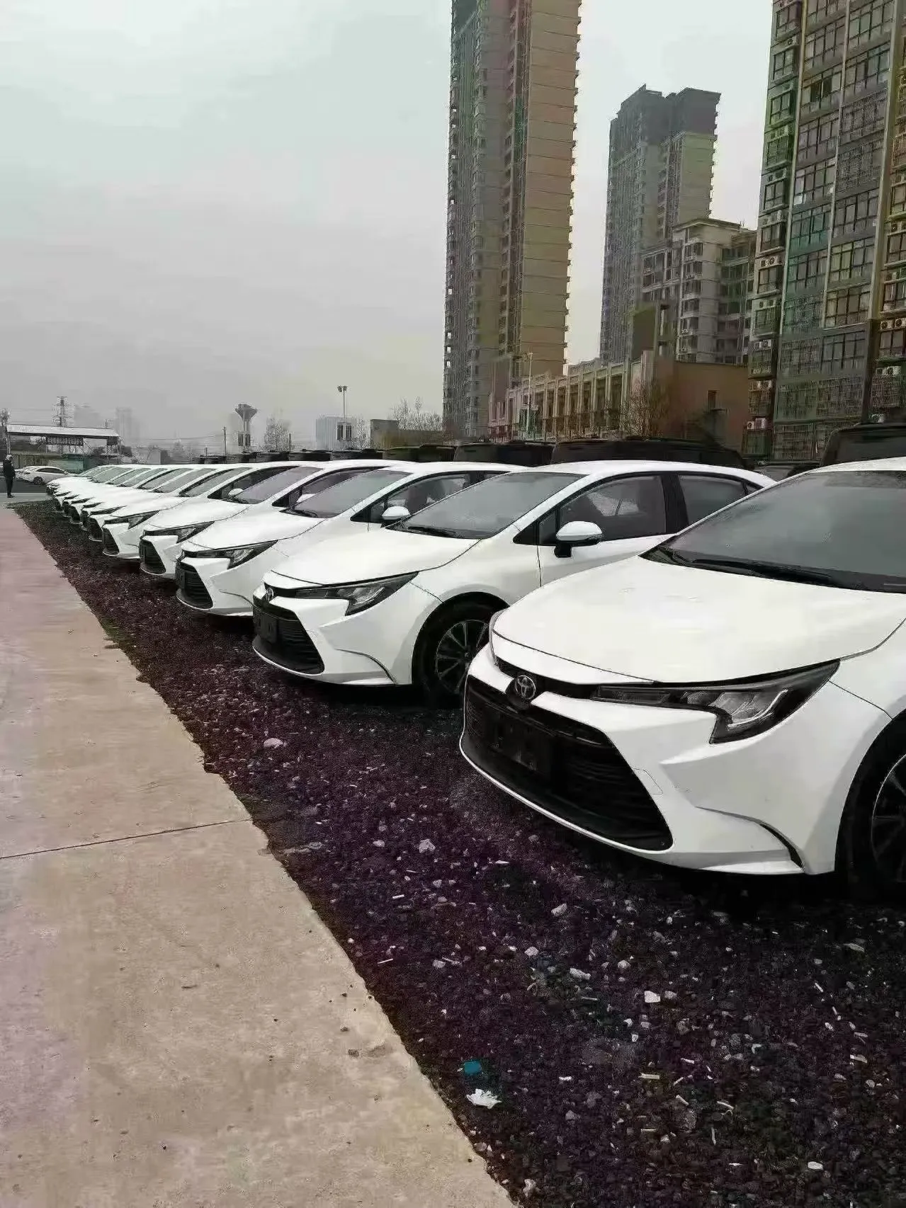 Toyota Levin 1.5L Automatic Progressive Edition